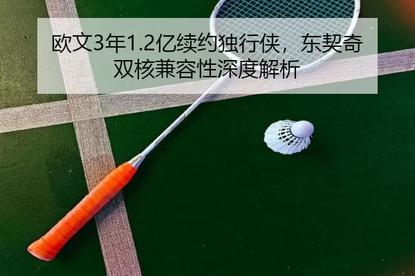 ou-wen-nian-yi-xu-yue-du-xing-xia-dong-qi-qi-shuang-he-jian-rong-xing-shen-du-jie-xi-3-328.jpg