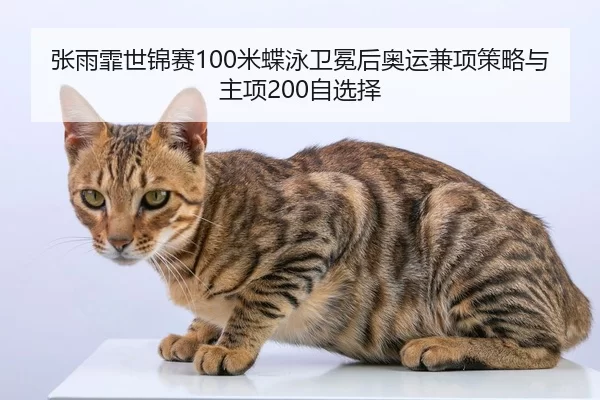 zhang-yu-fei-shi-jin-sai-mi-die-yong-wei-mian-hou-ao-yun-jian-xiang-ce-lve-yu-zhu-xiang-zi-xuan-ze-3-930.jpg